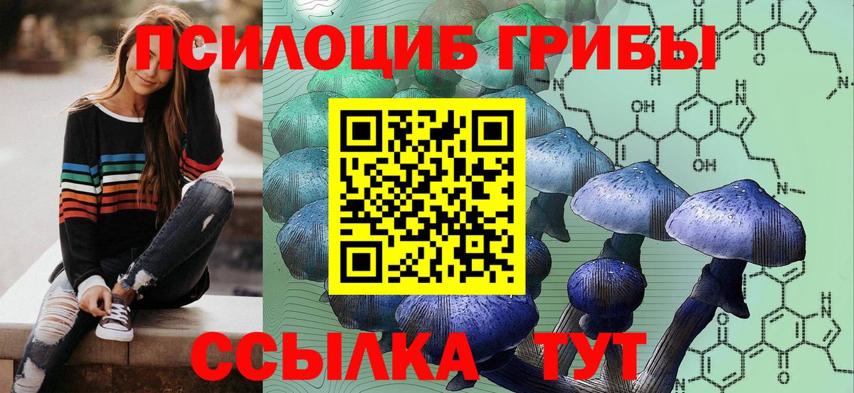 Галлюциногенные грибы Psilocybine cubensis Дзержинский