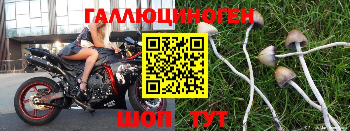 Псилоцибиновые грибы ЛСД  Дзержинский 