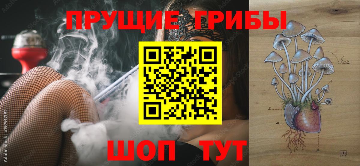 Псилоцибиновые грибы GOLDEN TEACHER Дзержинский